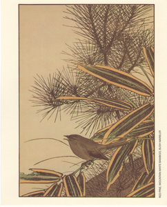 RED PINE, MOUNTAIN WHITE BAMBOO, BUSH WARBLER